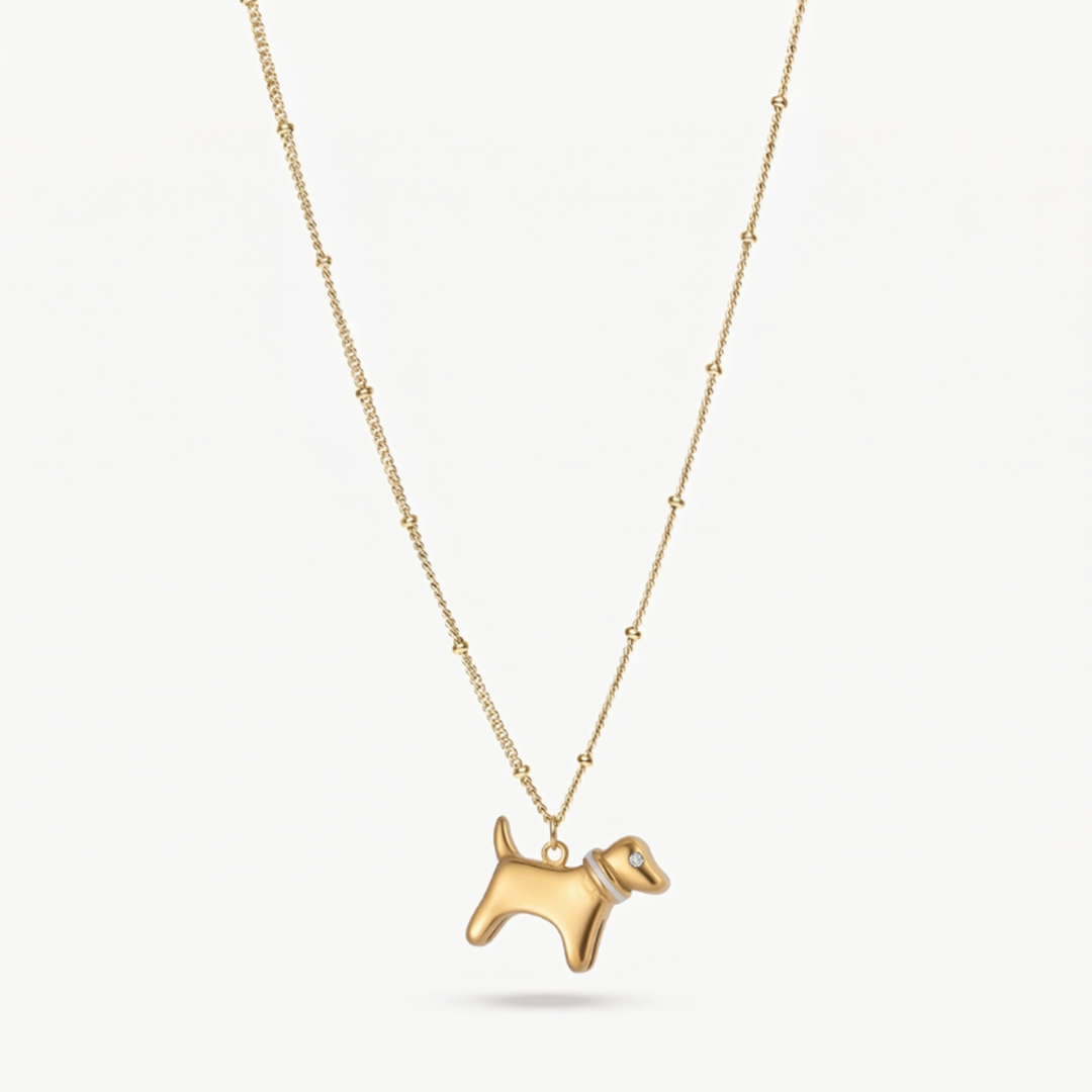 Collar Perrito