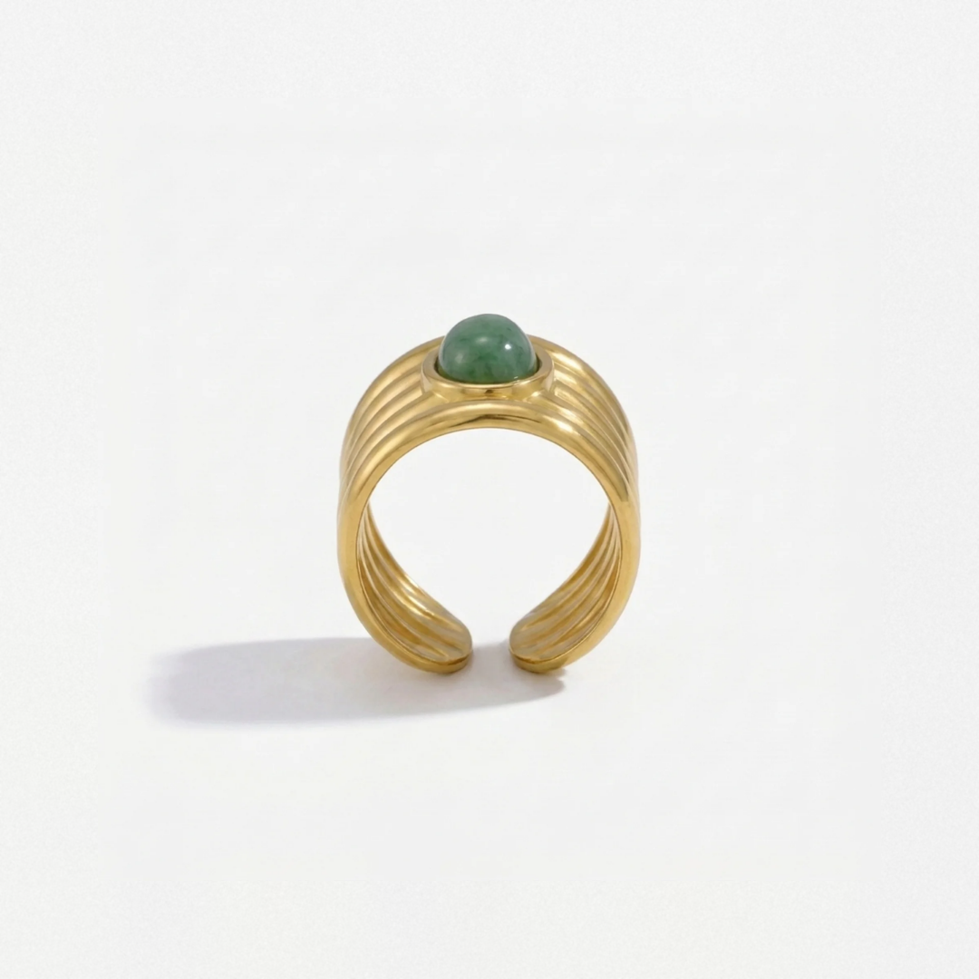 Anillo Selva