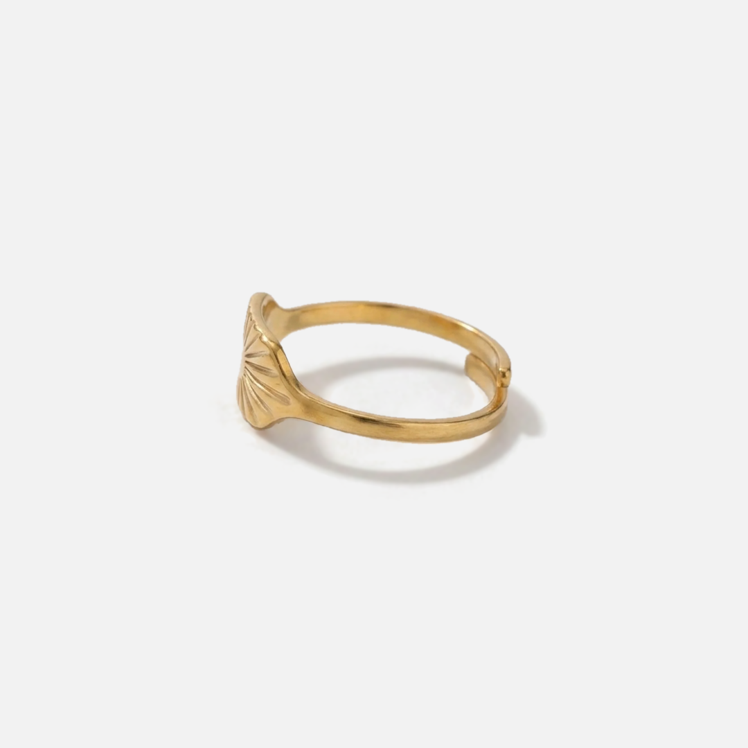 Anillo Rayo