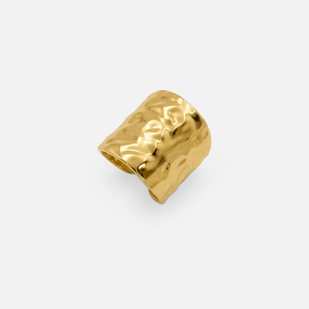 Anillo Duna