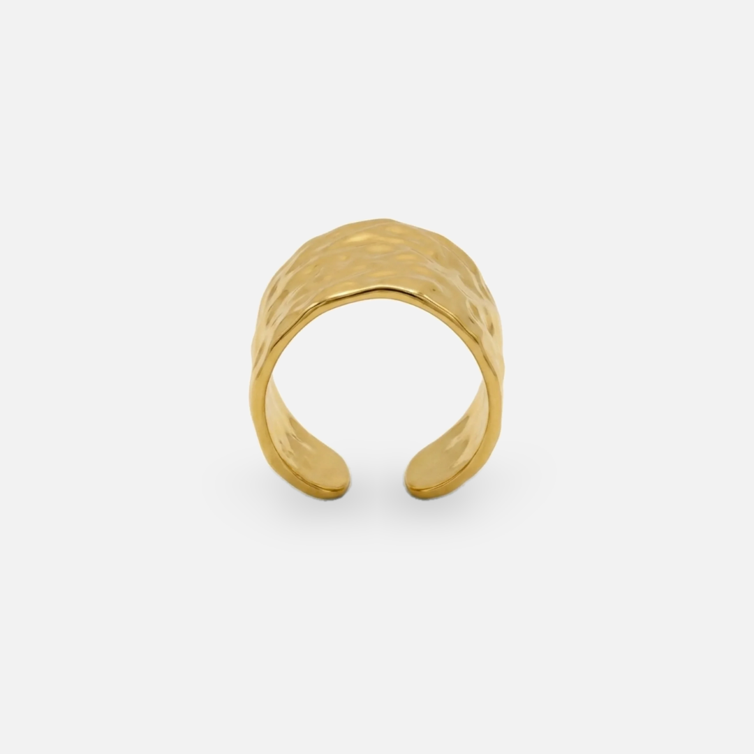 Anillo Duna