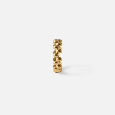 Anillo Elipse