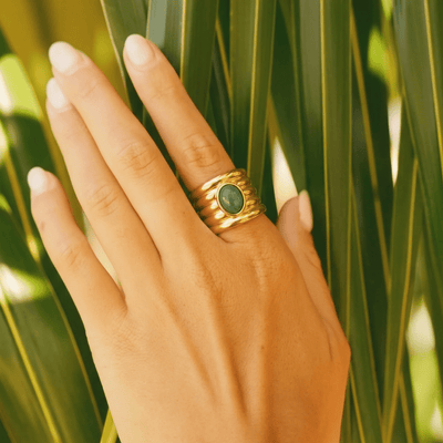 Anillo Selva