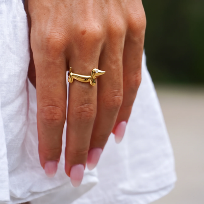 Anillo Mirabel