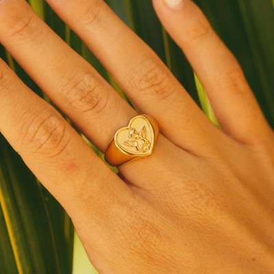 Anillo Angel