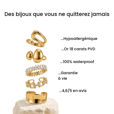 lang:fr