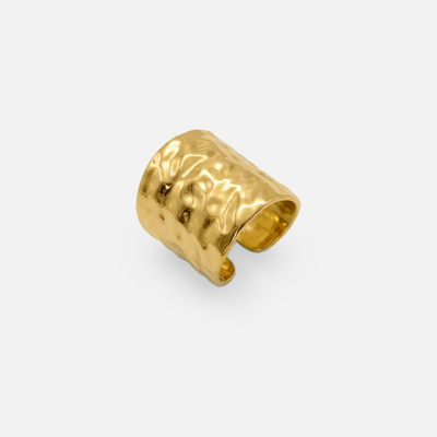 Anillo Duna